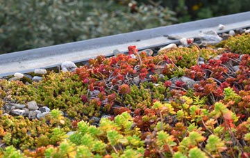 the cost of Linnie green roof installation
