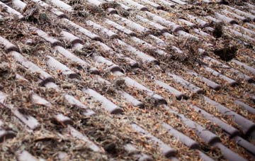 Linnie roof cleaning companies