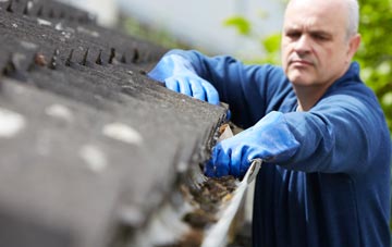 cleaning and inspecting Linnie roofs