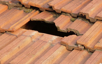 roof repair Linnie, Highland