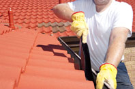 Linnie roof cleaners